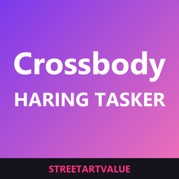 Keith Haring crossbody-tasker: bøger og udstyr om gadekunst på Amazon