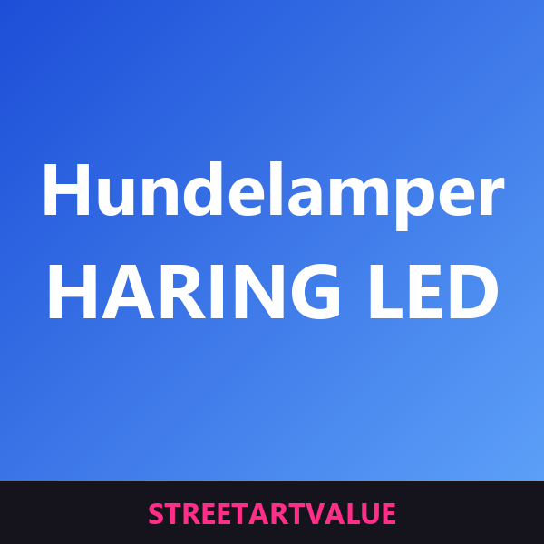 Haring hund-lamper: bøger og udstyr om gadekunst på Amazon