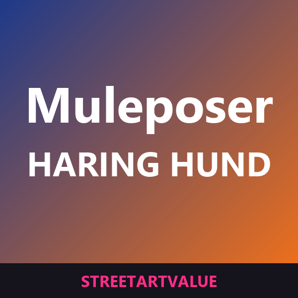 Keith Haring hund-muleposer: bøger og udstyr om gadekunst på Amazon