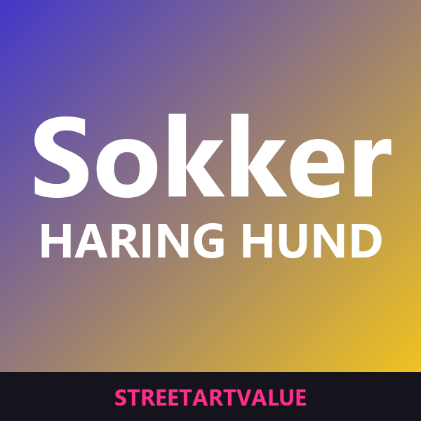 Keith Haring hund-sokker: bøger og udstyr om gadekunst på Amazon