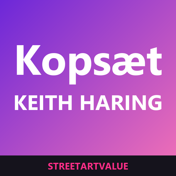 Keith Haring kopsæt: bøger og udstyr om gadekunst på Amazon