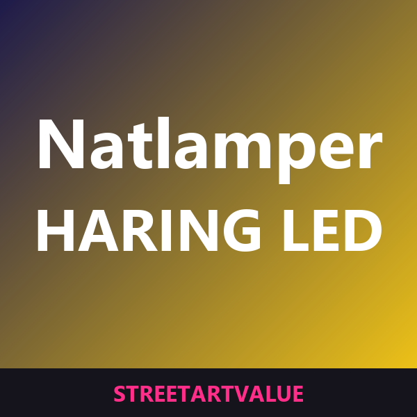 Keith Haring natlamper: bøger og udstyr om gadekunst på Amazon