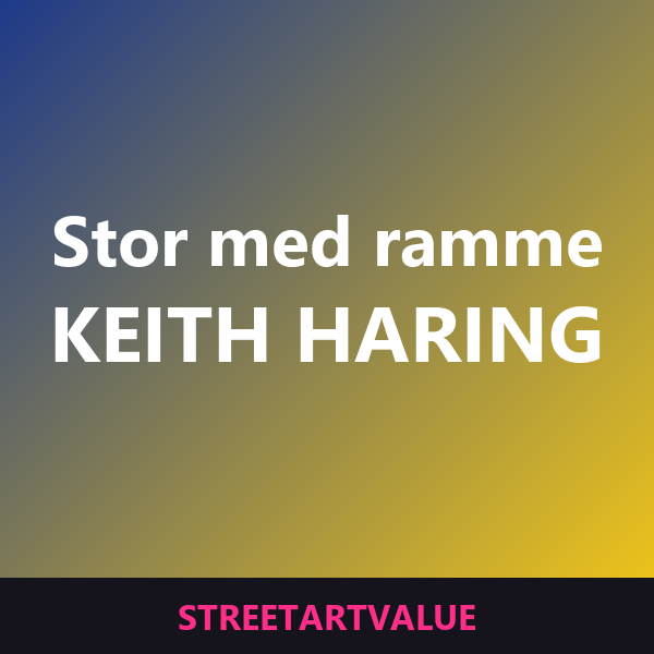 Store indrammede Haring-tryk: bøger og udstyr om gadekunst på Amazon