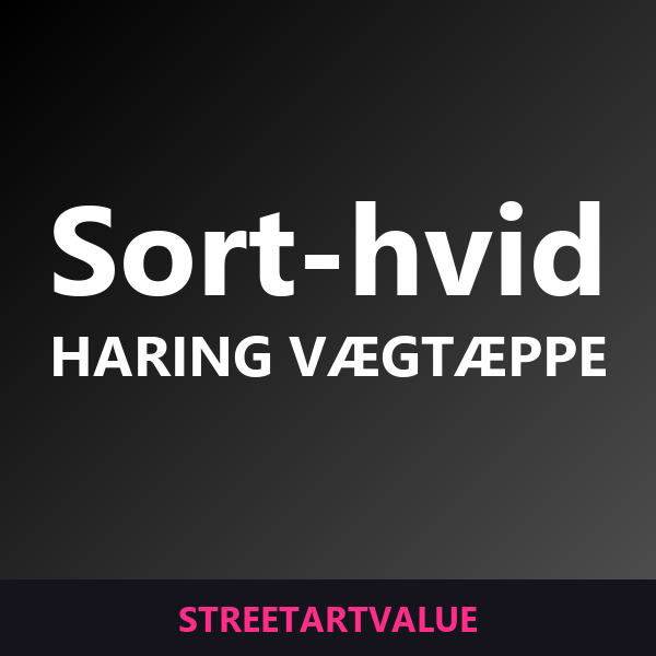 Sort-hvide Haring vægtæpper: bøger og udstyr om gadekunst på Amazon