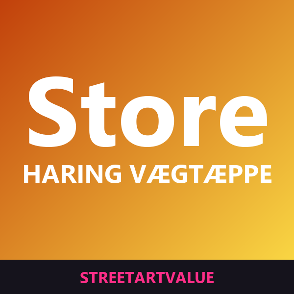 Store Haring vægtæpper: bøger og udstyr om gadekunst på Amazon