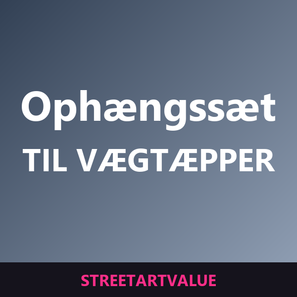 Ophængssæt til vægtæpper: bøger og udstyr om gadekunst på Amazon