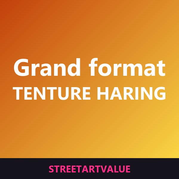 Grandes tentures Haring sur Amazon