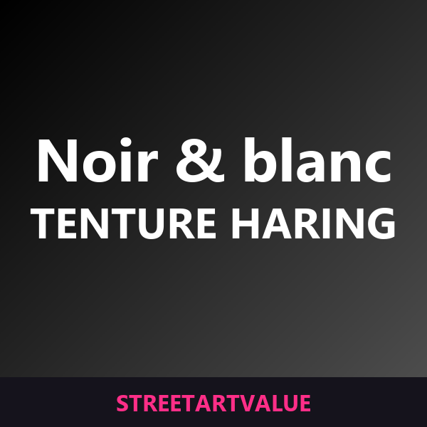 Tentures Haring noir et blanc sur Amazon