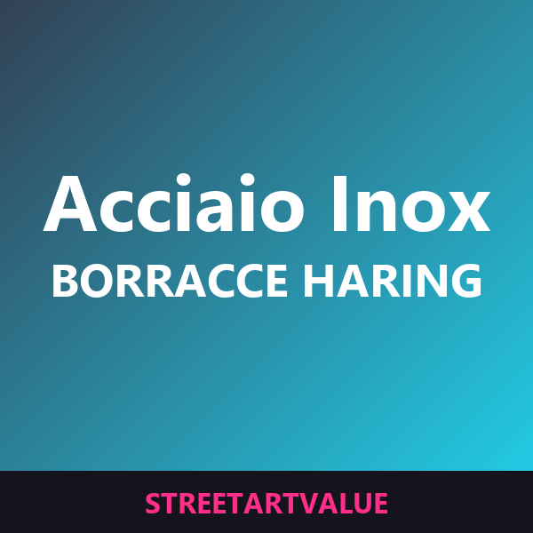 Borracce Haring in acciaio inox su Amazon