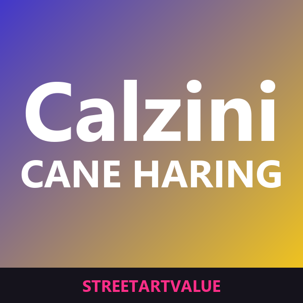 Calzini cane Keith Haring Calzini cane Keith Haring: libri e materiali di street art su Amazon
