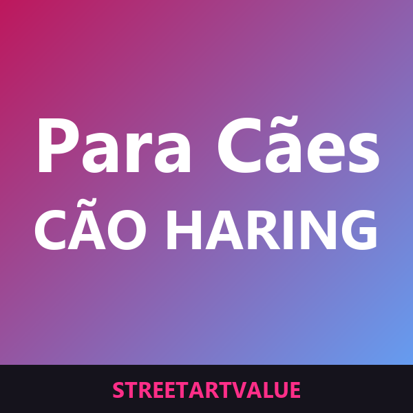 Coleiras e acessórios para cães Haring na Amazon