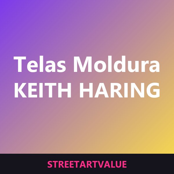 Telas Haring com moldura na Amazon