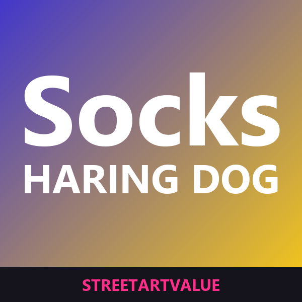 Keith Haring dog socks on Amazon