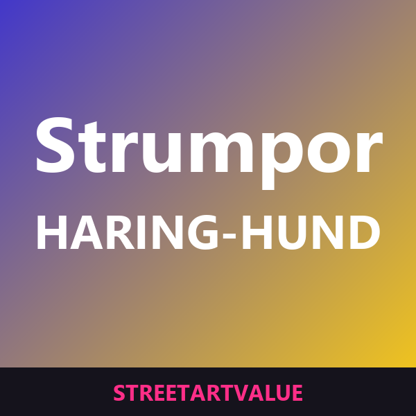 Keith Haring-strumpor med hund på Amazon
