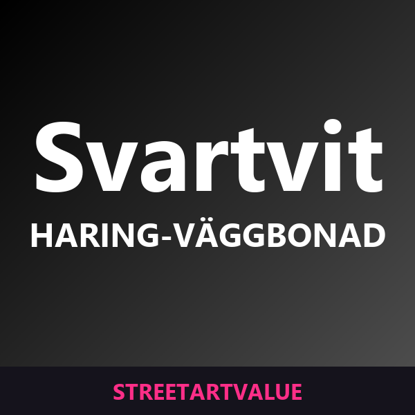 Svartvita Haring-väggbonader: böcker och tillbehör om gatukonst på Amazon