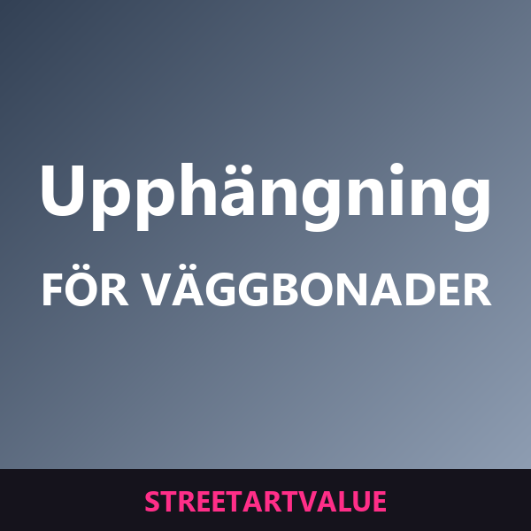 Upphängningskit för väggbonader: böcker och tillbehör om gatukonst på Amazon